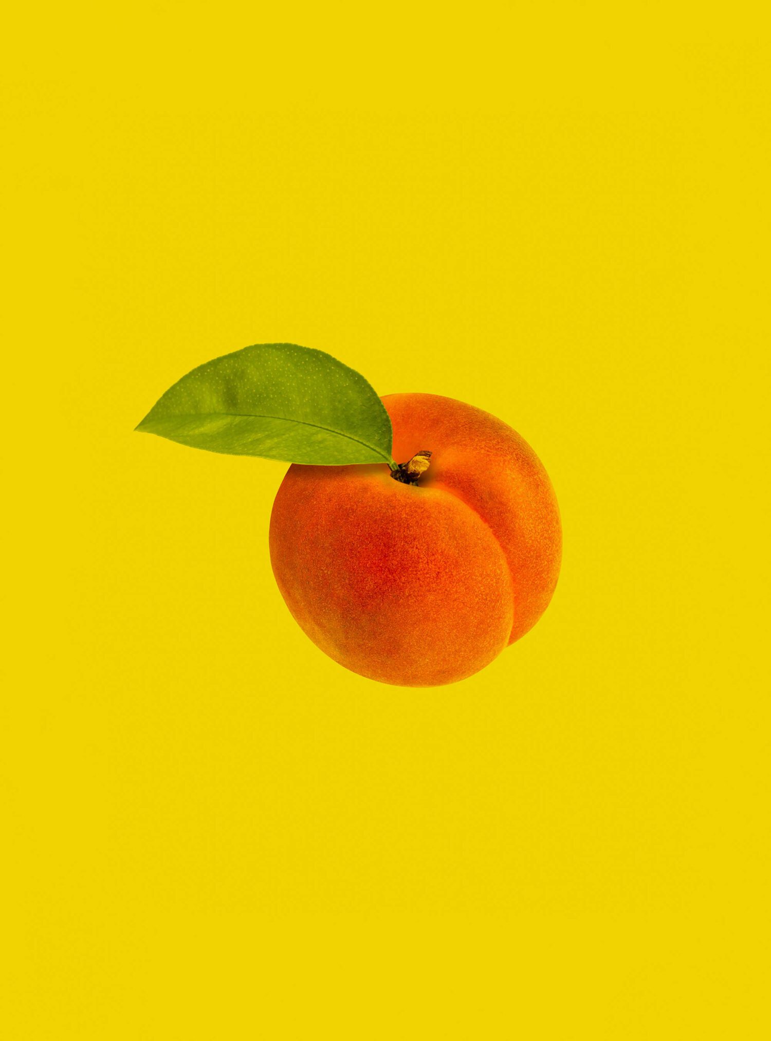 Armenian Dating App Ari - Navigating Love in the Digital Age: A Humorous Guide to Armenian Dating Apps