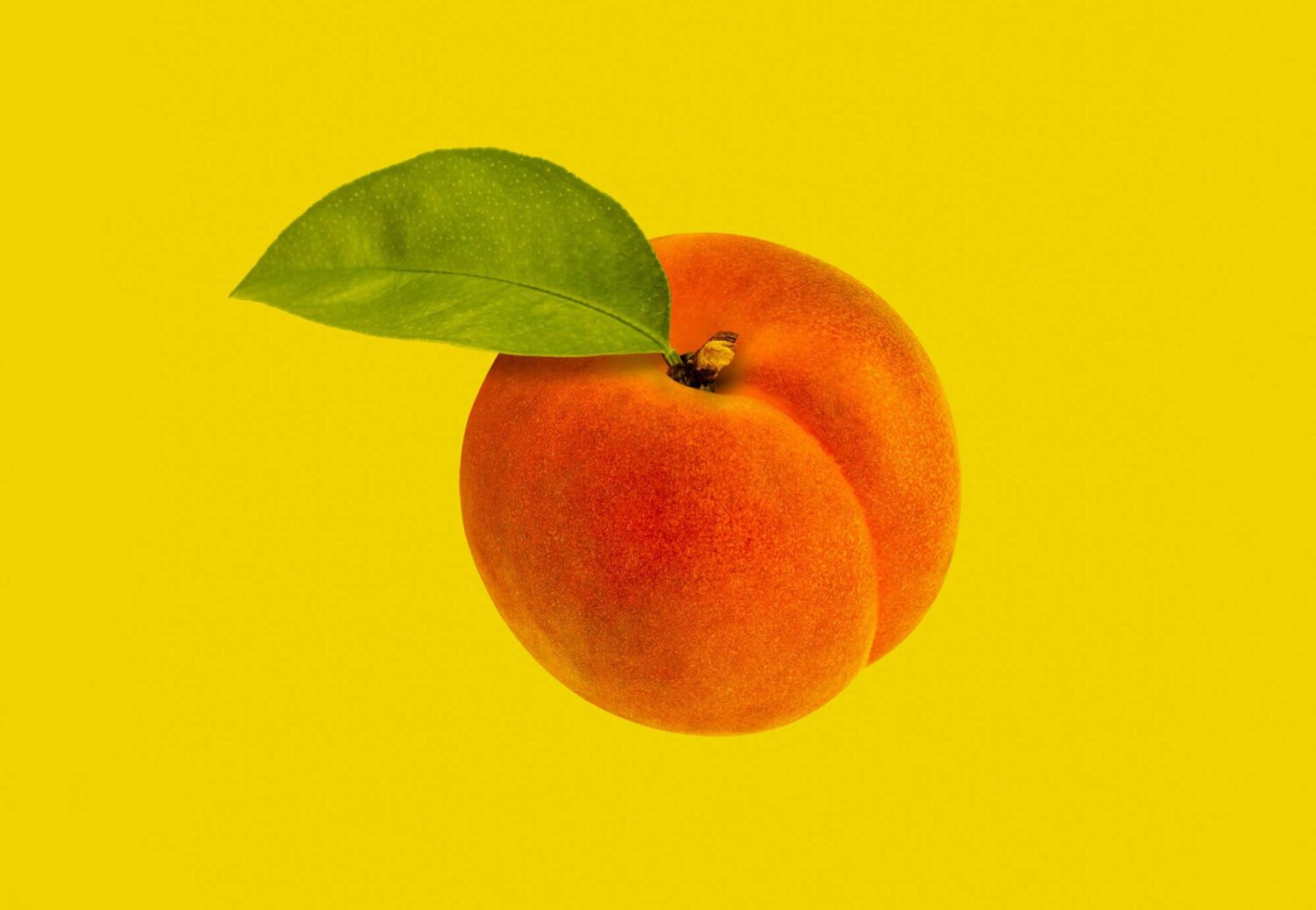 Armenian Dating App Ari - Navigating Love in the Digital Age: A Humorous Guide to Armenian Dating Apps